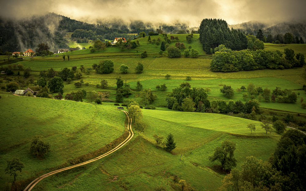 Platz 10 Anton Kienle